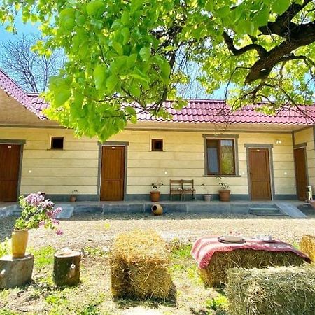 Aghasu Tun B&B Одзун Экстерьер фото